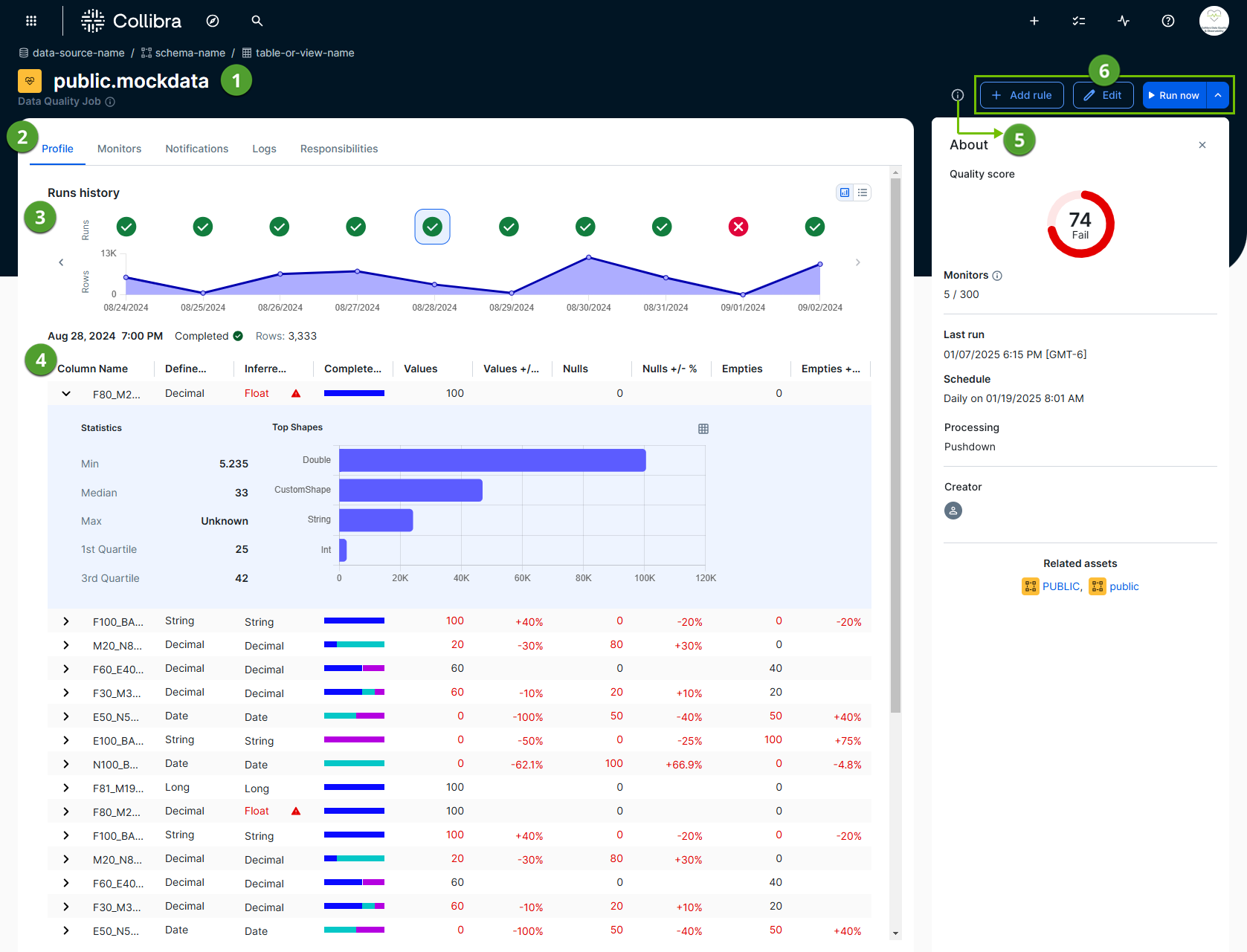 screenshot of data quality job